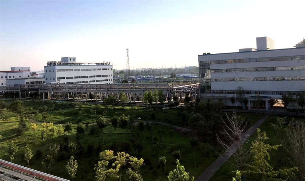 P8yBwValSmySWGyC00c1PA Íþ¿Íµç¾º¡¤(Öйú)VKGAME